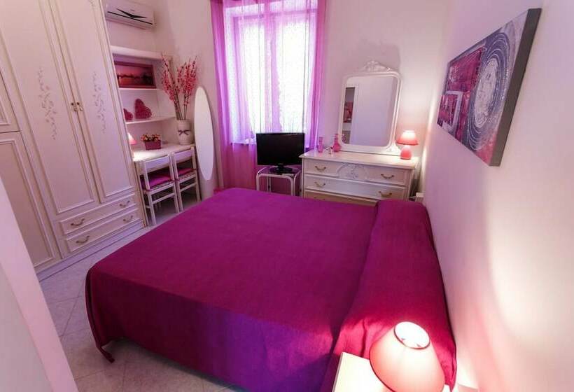 민박 L Aurora Viola