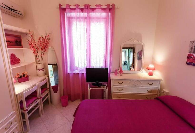 민박 L Aurora Viola