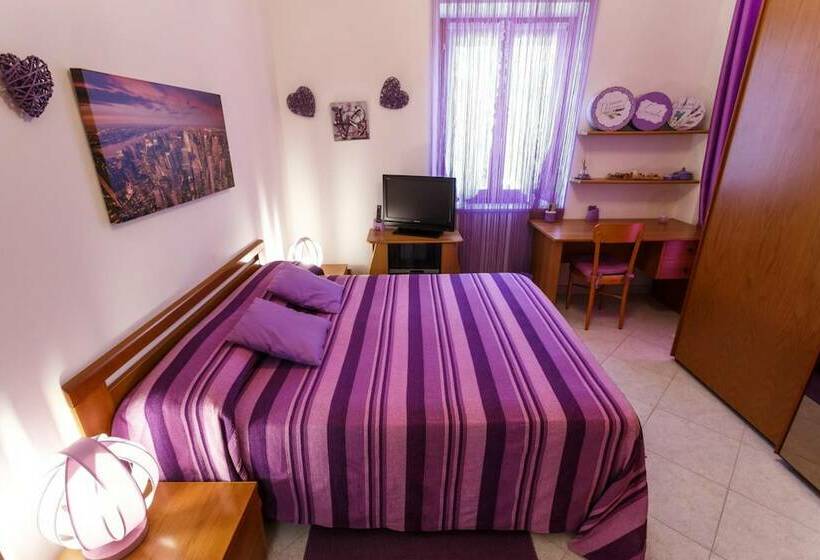 민박 L Aurora Viola