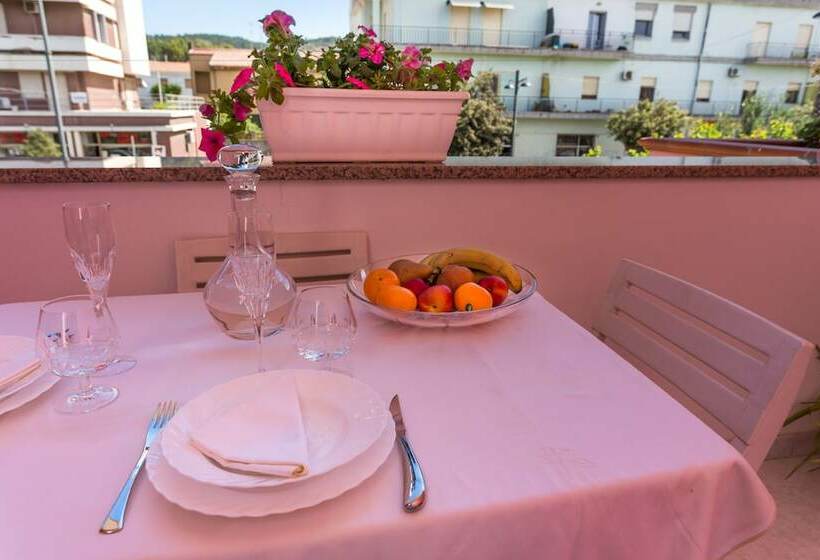 민박 L Aurora Viola