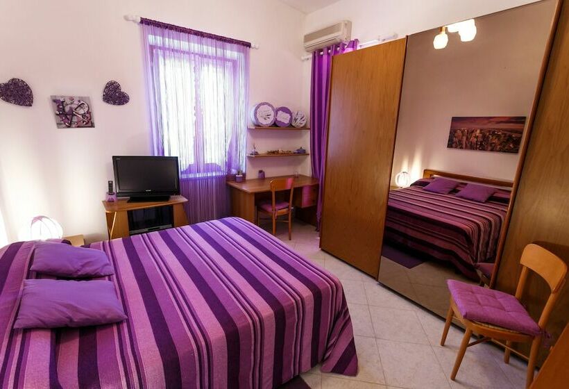 민박 L Aurora Viola