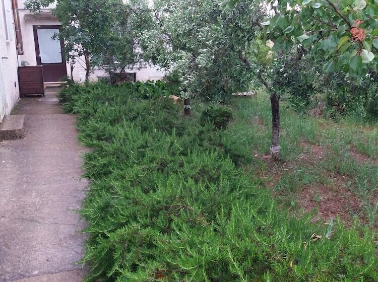 B&b Macchia Mediterranea