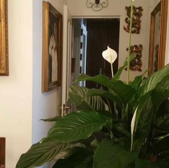 B&b La Cittadella