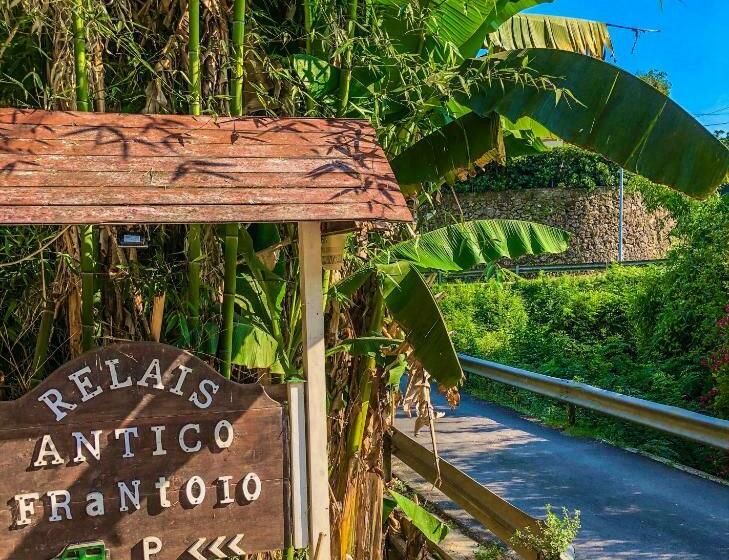 تختخواب و صبحانه Guest House Antico Frantoio Pietrasanta Affittacamere
