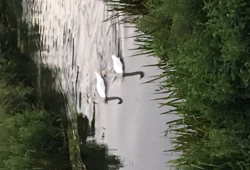 مبيت وإفطار Il Casale Di Colli Sul Velino