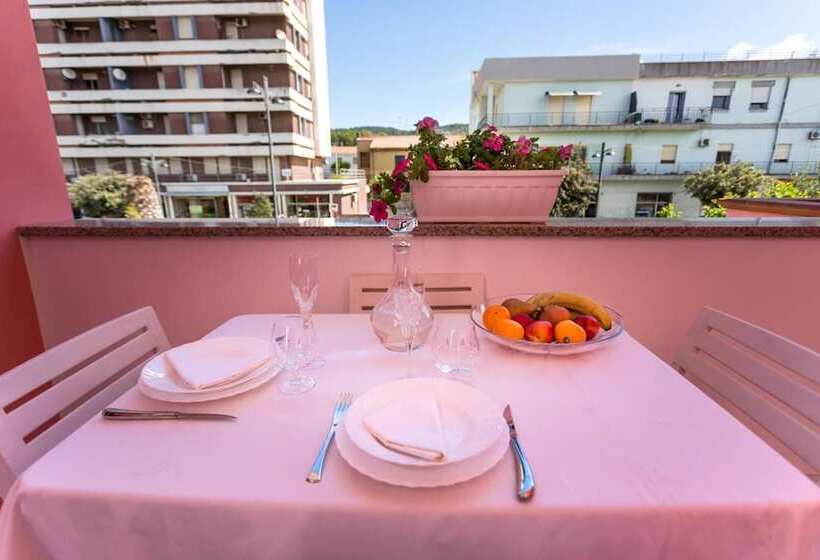 민박 L Aurora Viola