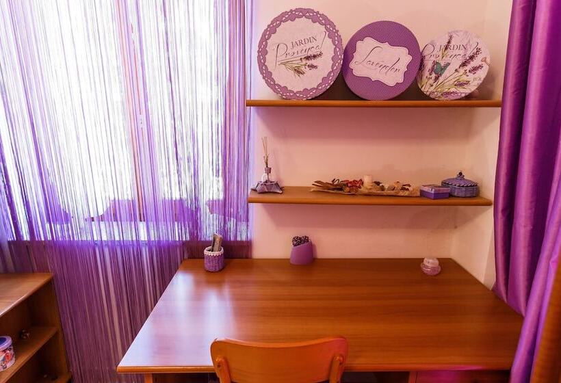 민박 L Aurora Viola