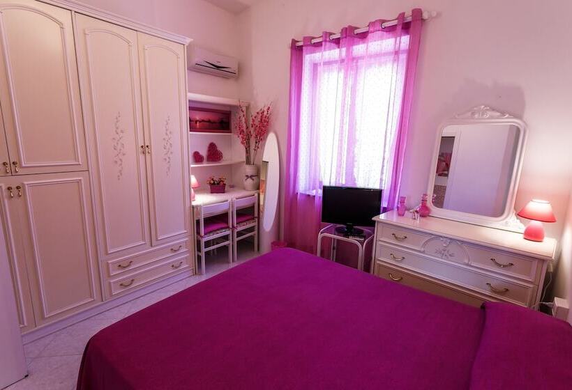 민박 L Aurora Viola