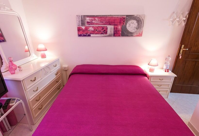 민박 L Aurora Viola