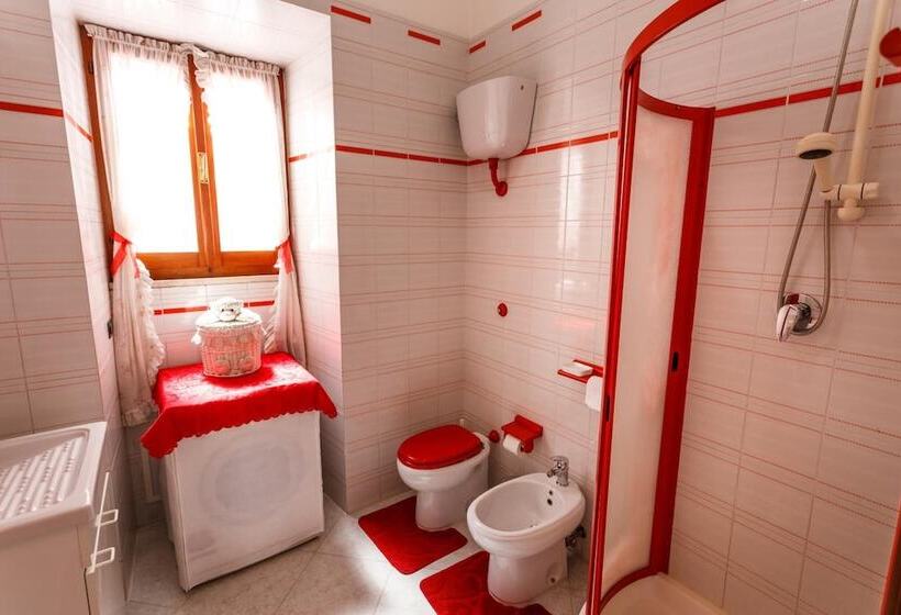 민박 L Aurora Viola