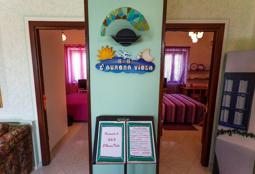 민박 L Aurora Viola