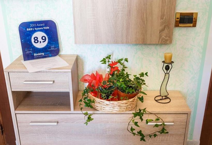 민박 L Aurora Viola