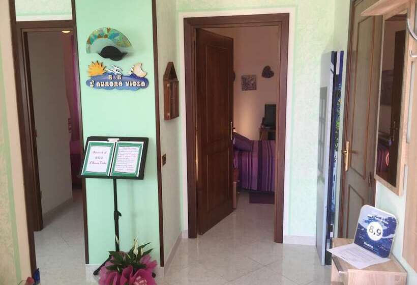 민박 L Aurora Viola