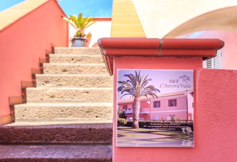 민박 L Aurora Viola