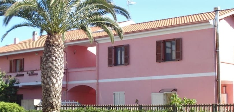 민박 L Aurora Viola