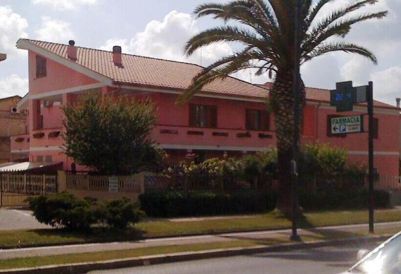 민박 L Aurora Viola