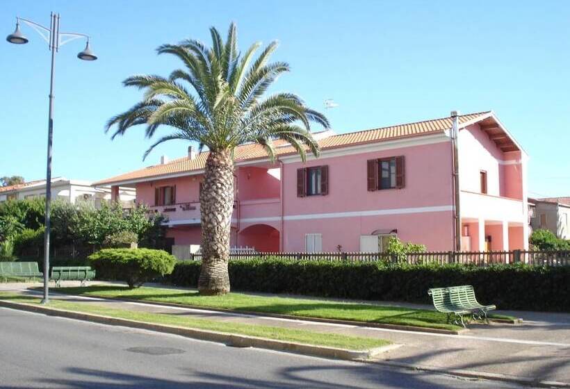 민박 L Aurora Viola