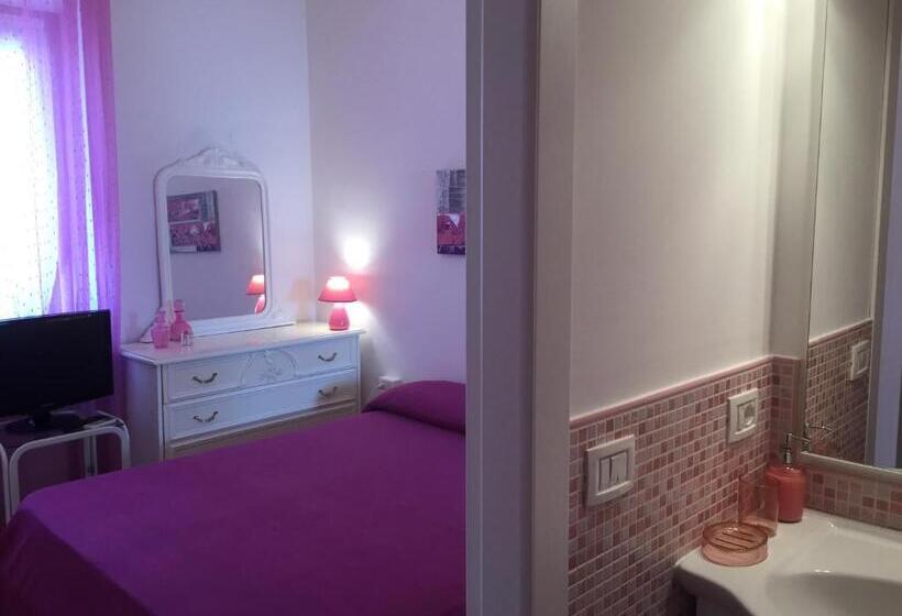 민박 L Aurora Viola