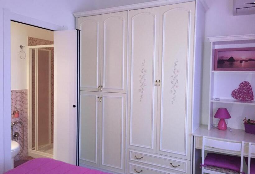 민박 L Aurora Viola