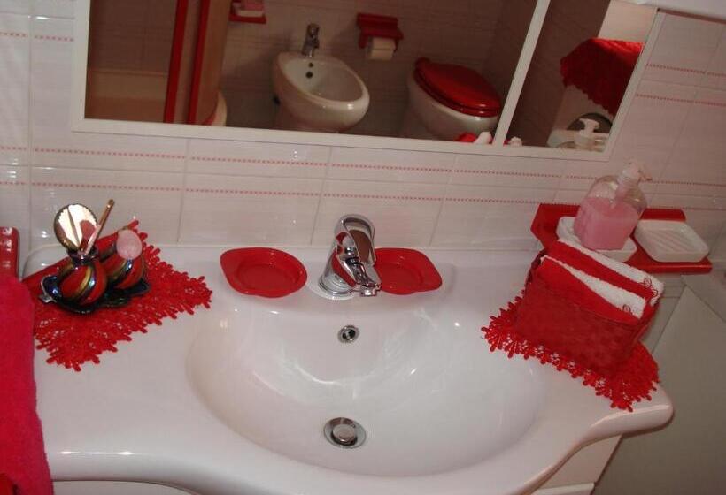 민박 L Aurora Viola