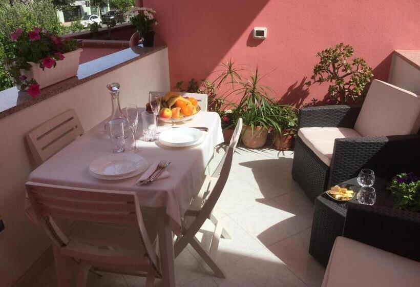 민박 L Aurora Viola