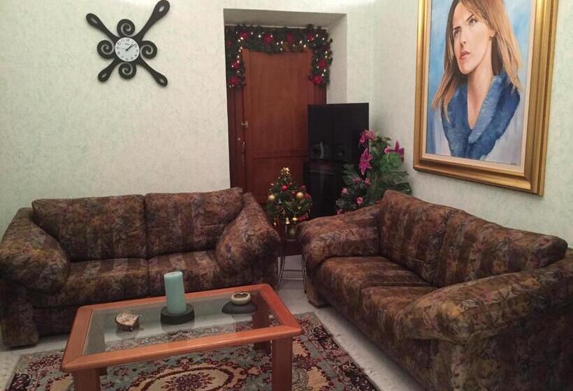 민박 L Aurora Viola