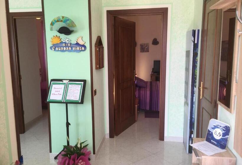 민박 L Aurora Viola