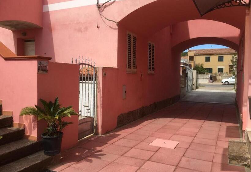 민박 L Aurora Viola