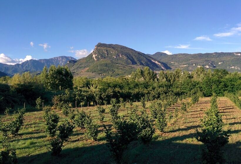 住宿加早餐  La Luna Nel Fiume