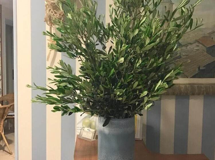 住宿加早餐  Locanda Kon Tiki