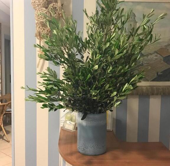 住宿加早餐  Locanda Kon Tiki