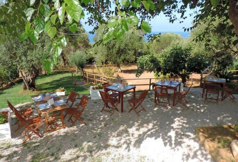 مبيت وإفطار Mediterraneo Rooms