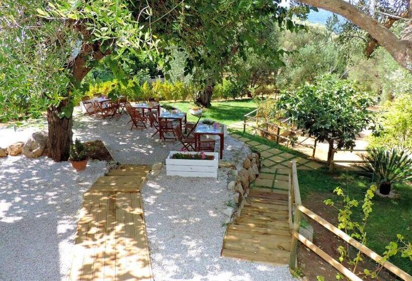 مبيت وإفطار Mediterraneo Rooms