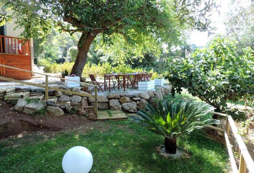 مبيت وإفطار Mediterraneo Rooms