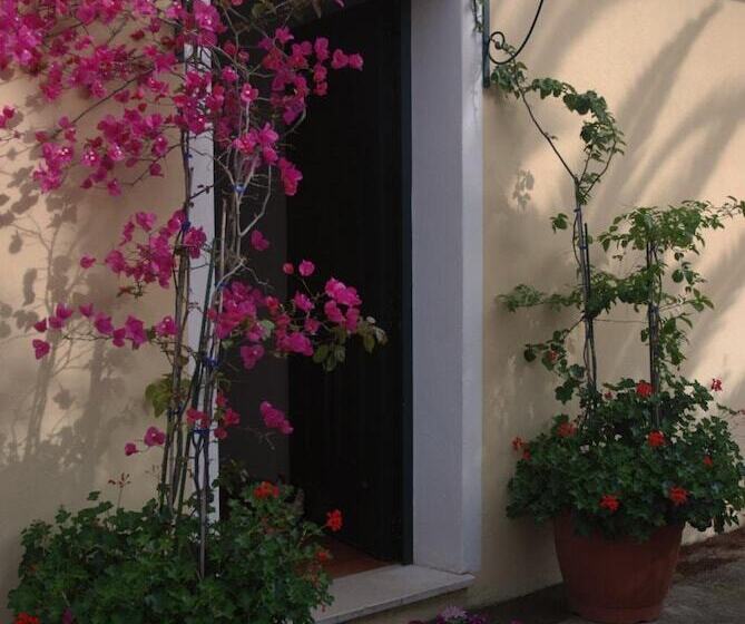 مبيت وإفطار Sorecanu