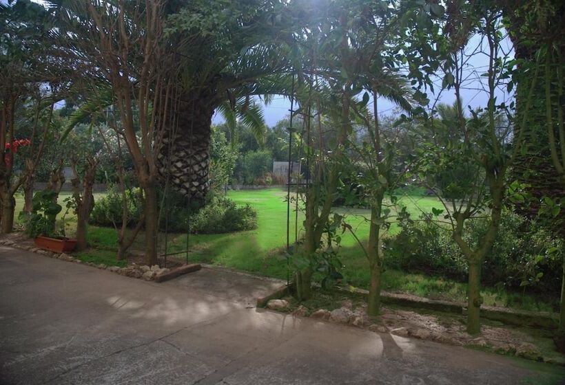 مبيت وإفطار Sorecanu