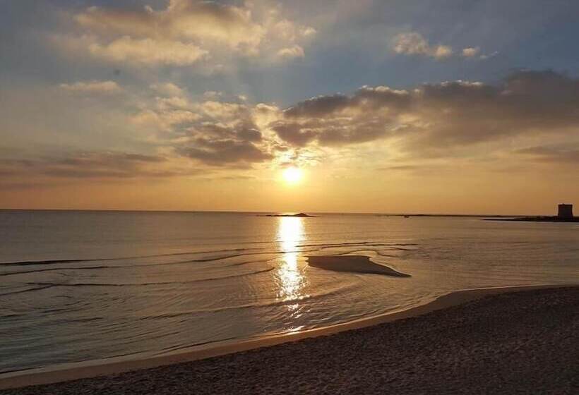 تختخواب و صبحانه Vev Salento