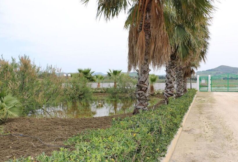 مبيت وإفطار Villa Delle Palme Delfina