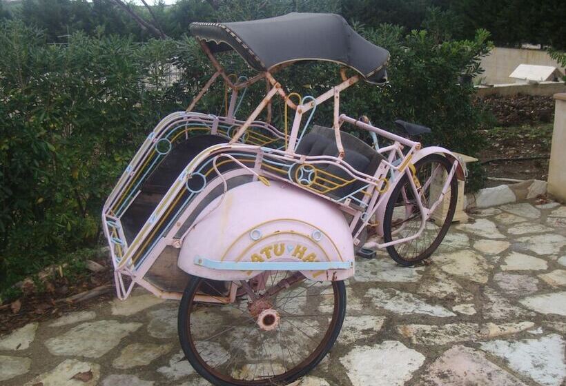 مبيت وإفطار Villa Delle Palme Delfina