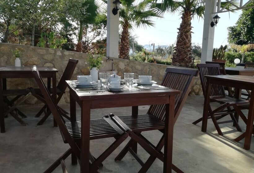 مبيت وإفطار Villa Delle Palme Delfina