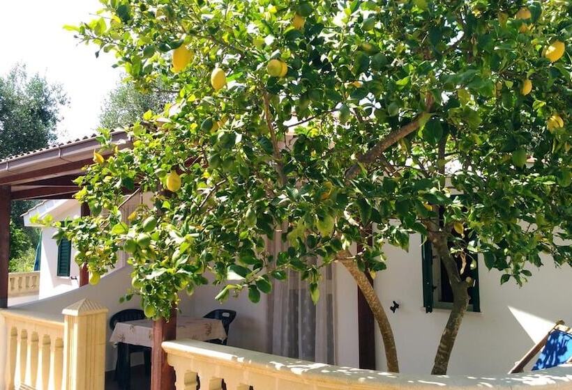 Case Vacanze La Paloma