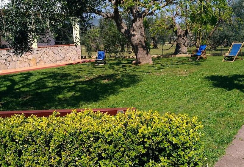 Case Vacanze La Paloma