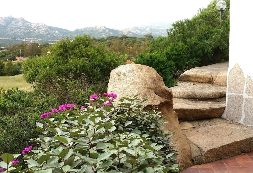 Dolce Luna Bed And Breakfast