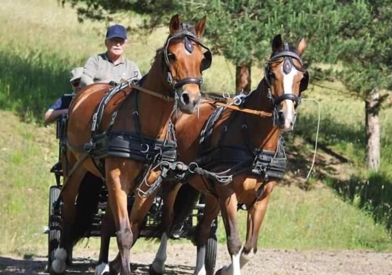 Fattoria Ca Di Fatino