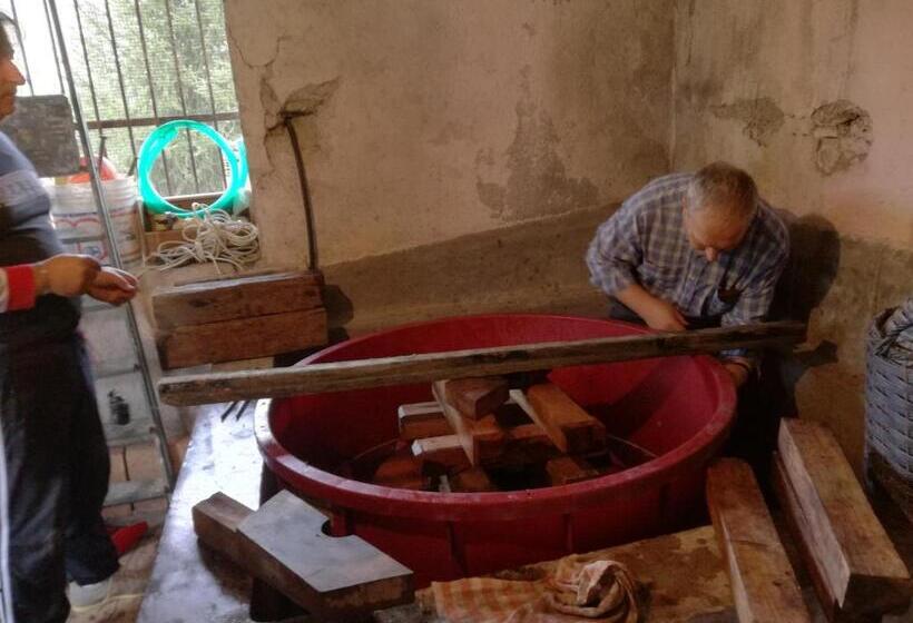 Hostal Albergo Diffuso Borgo Dei Greci