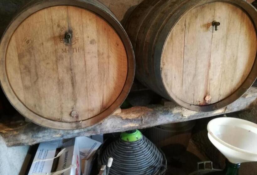 Hostal Albergo Diffuso Borgo Dei Greci