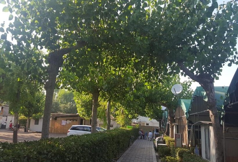 客栈  Camping Poseidonia