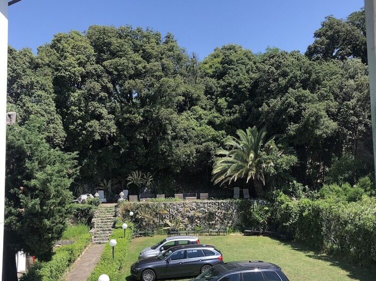 مسافرخانه Villa Shelley Boutique