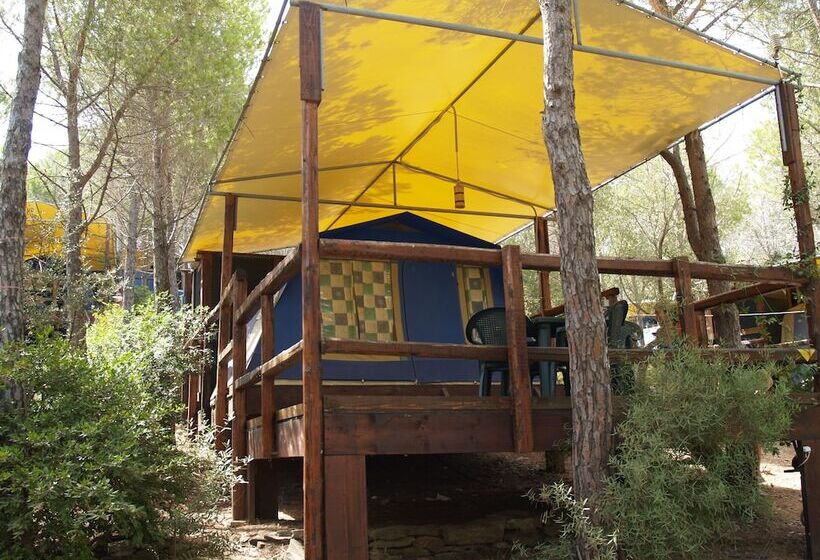 בית מלון כפרי Amfibietreks