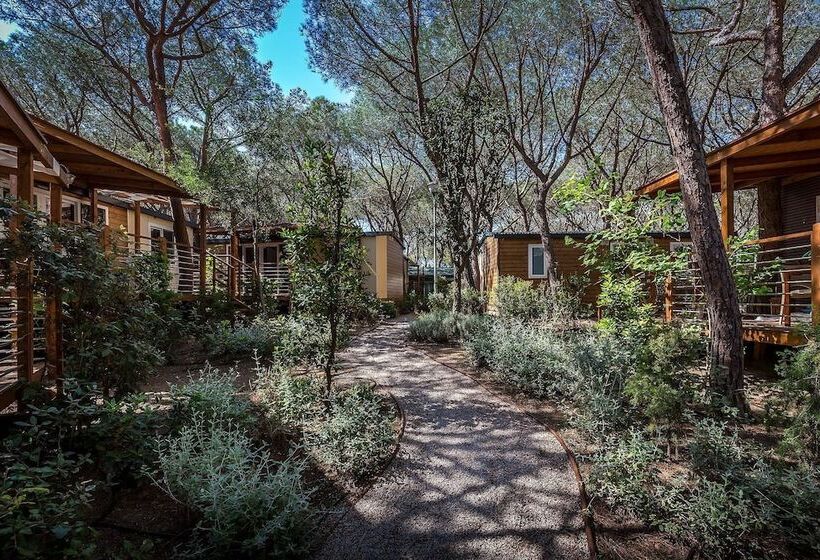 هتل Camping Internazionale Etruria